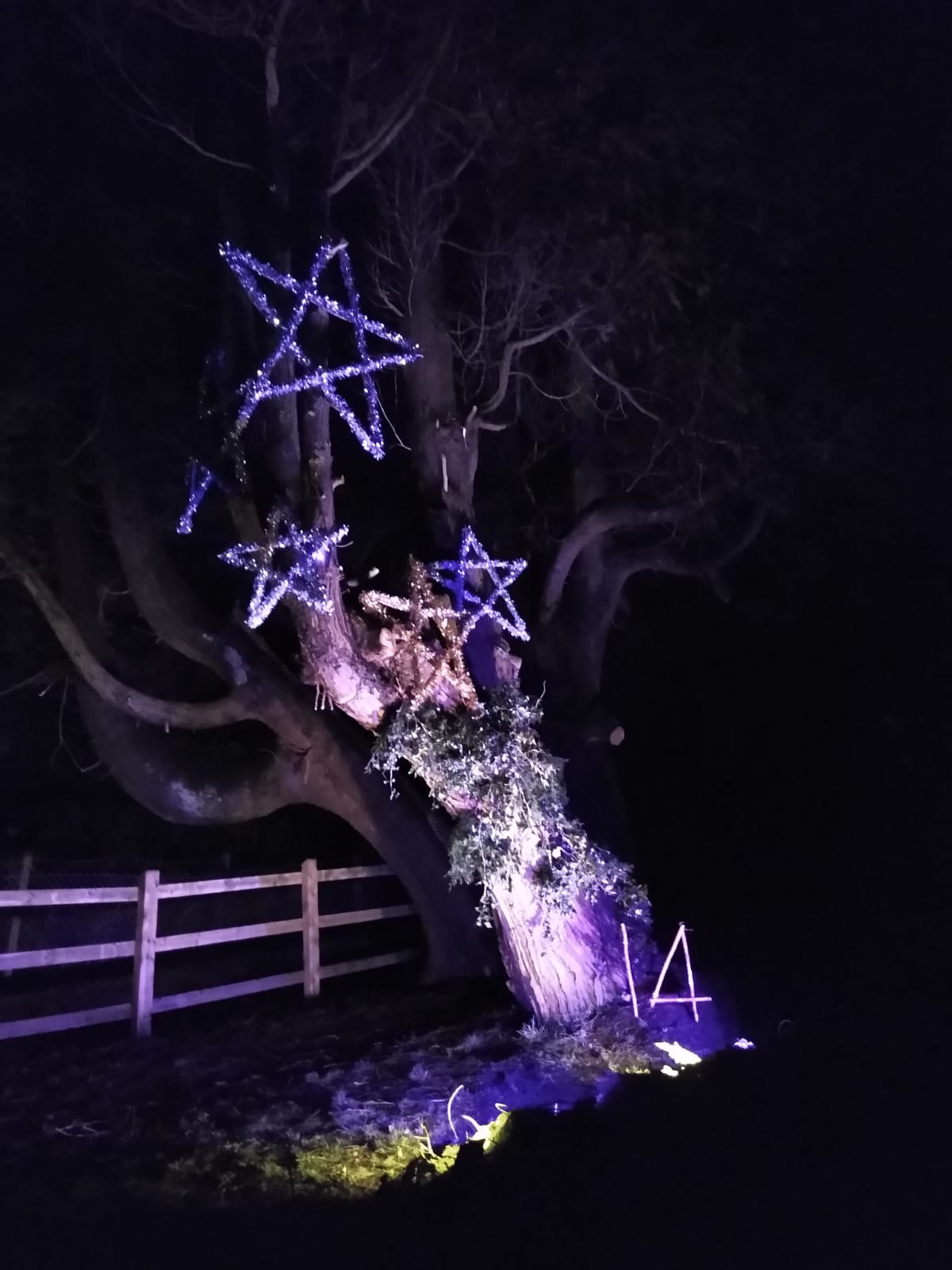 Oakhill Christmas